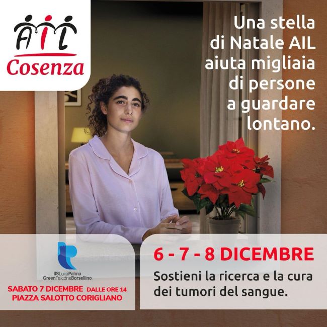 stelle1