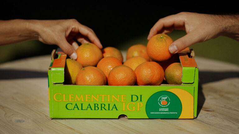 clementineconsorzio