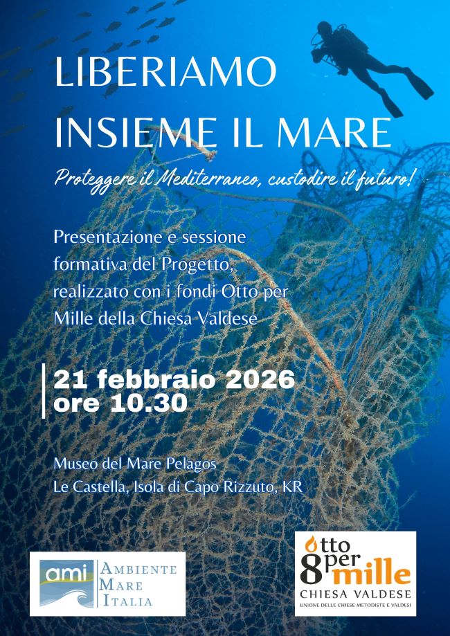 museomare1