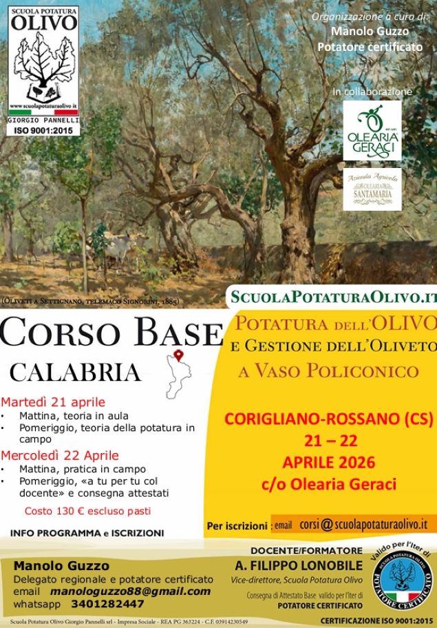 Potatura-Olivo-Gestione-Oliveto
