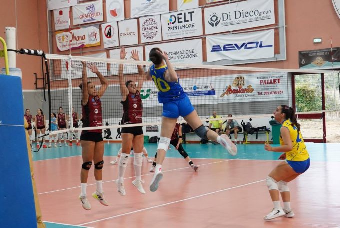 seriecpalla3