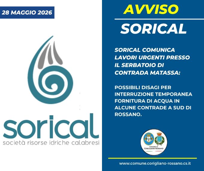 soricalmatassa